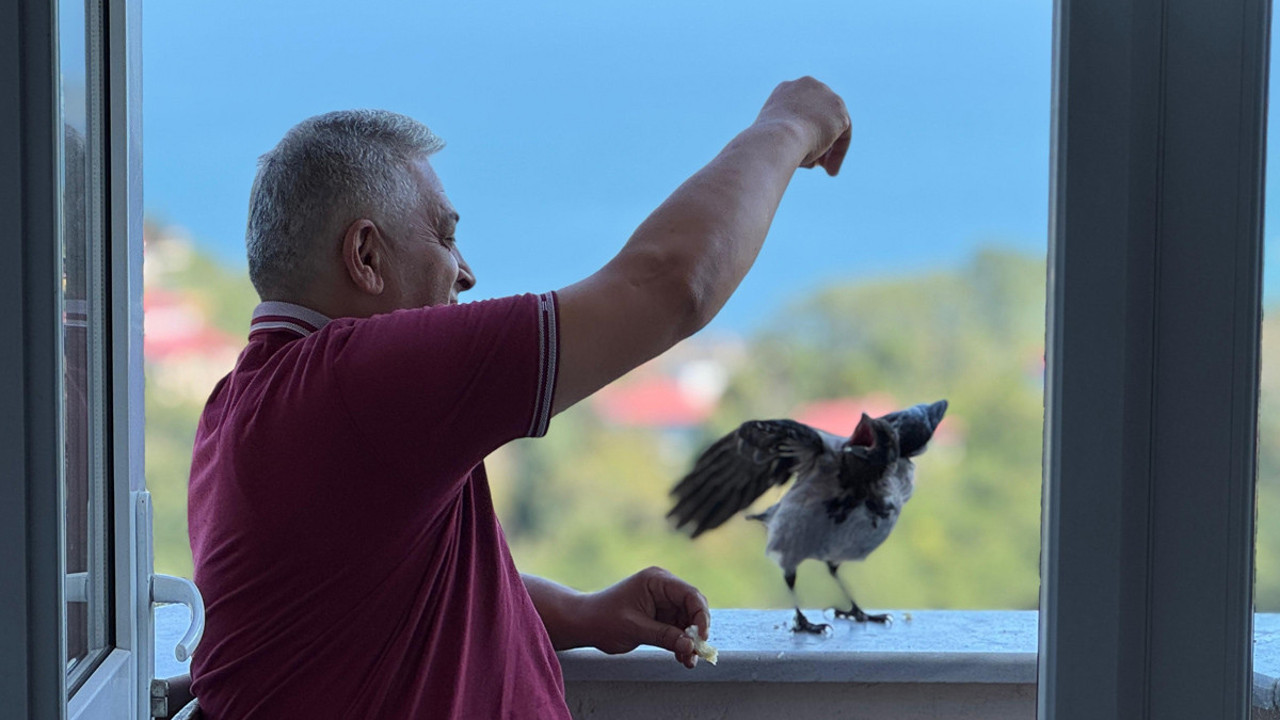 Fındık bahçesinden gelen dostluk! Hamsiyi çok seviyor