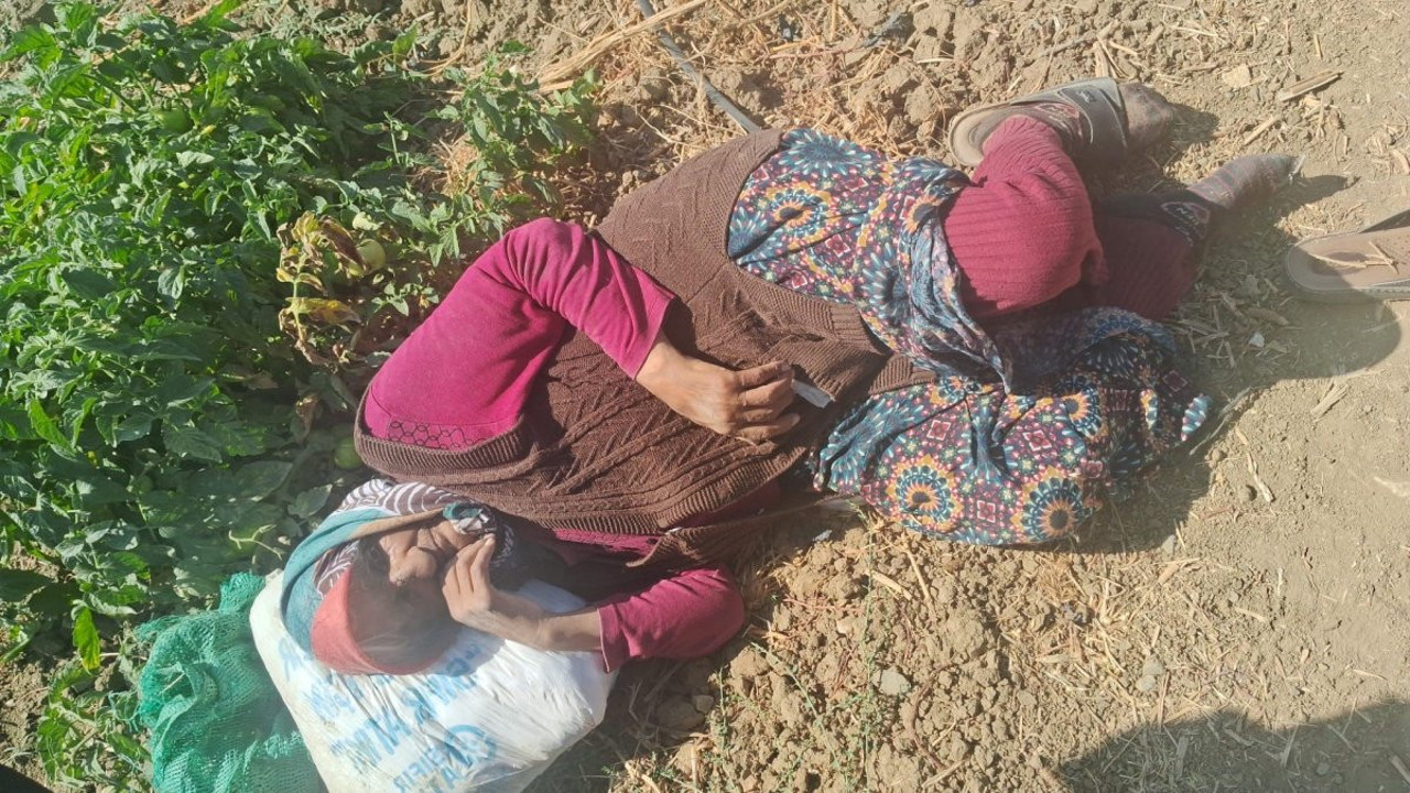 Kaybolan 74 yaşındaki kadından haber var!