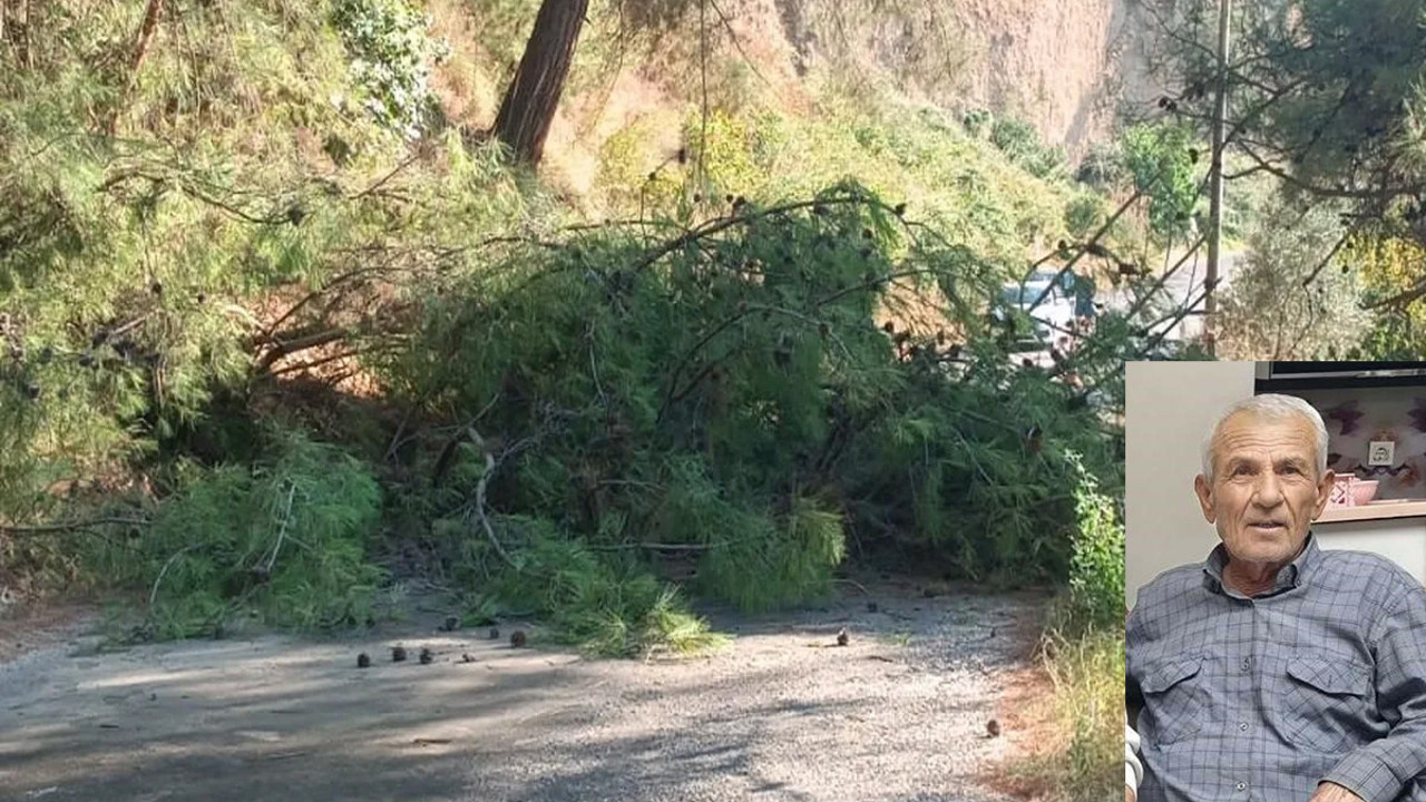 Ağaç kesme çabası felaketle bitti