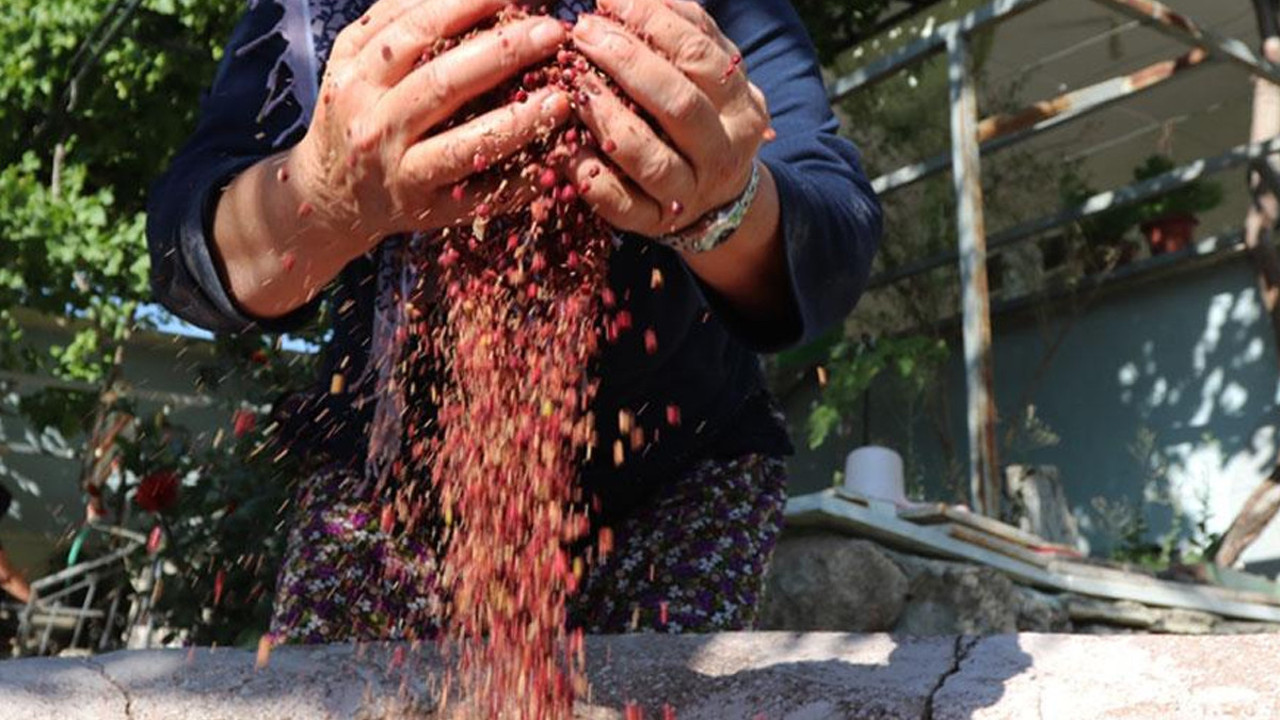 Türk mutfağının gizli hazinesi