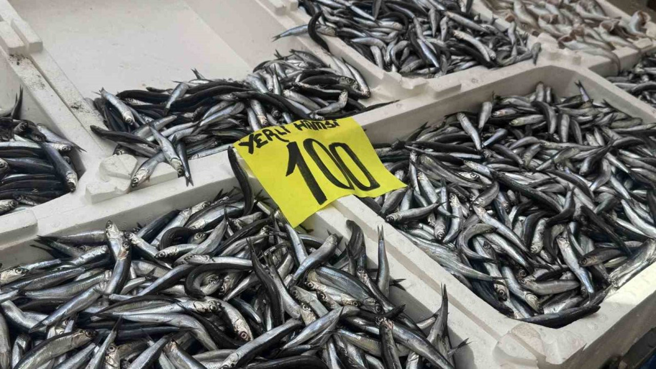 Tezgahlarda hamsi bolluğu