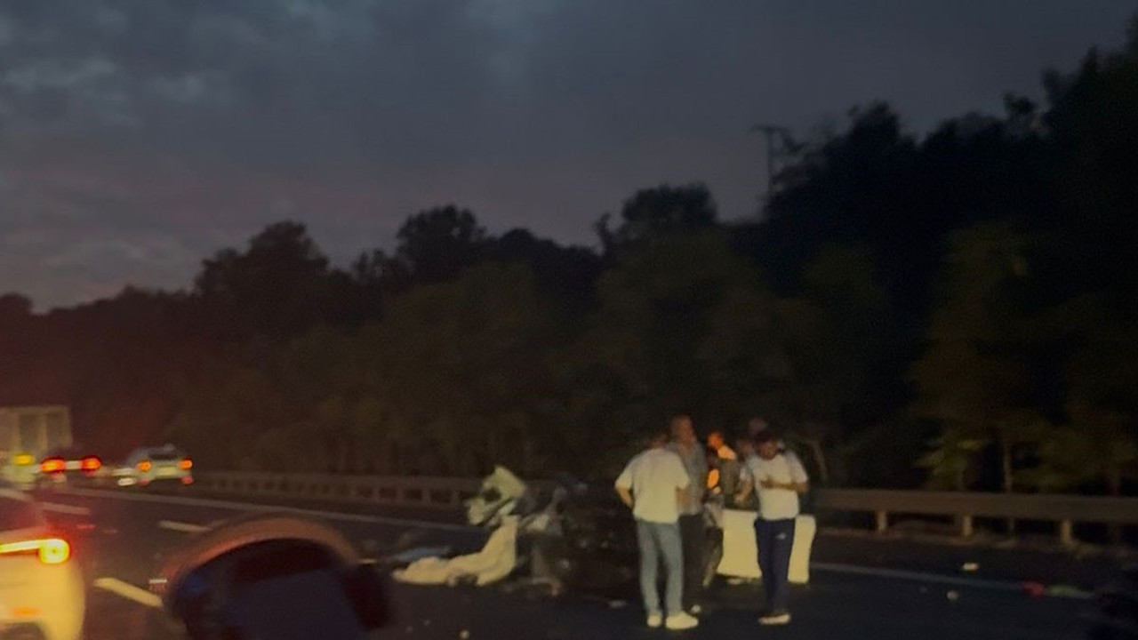 Sakarya'da feci kaza