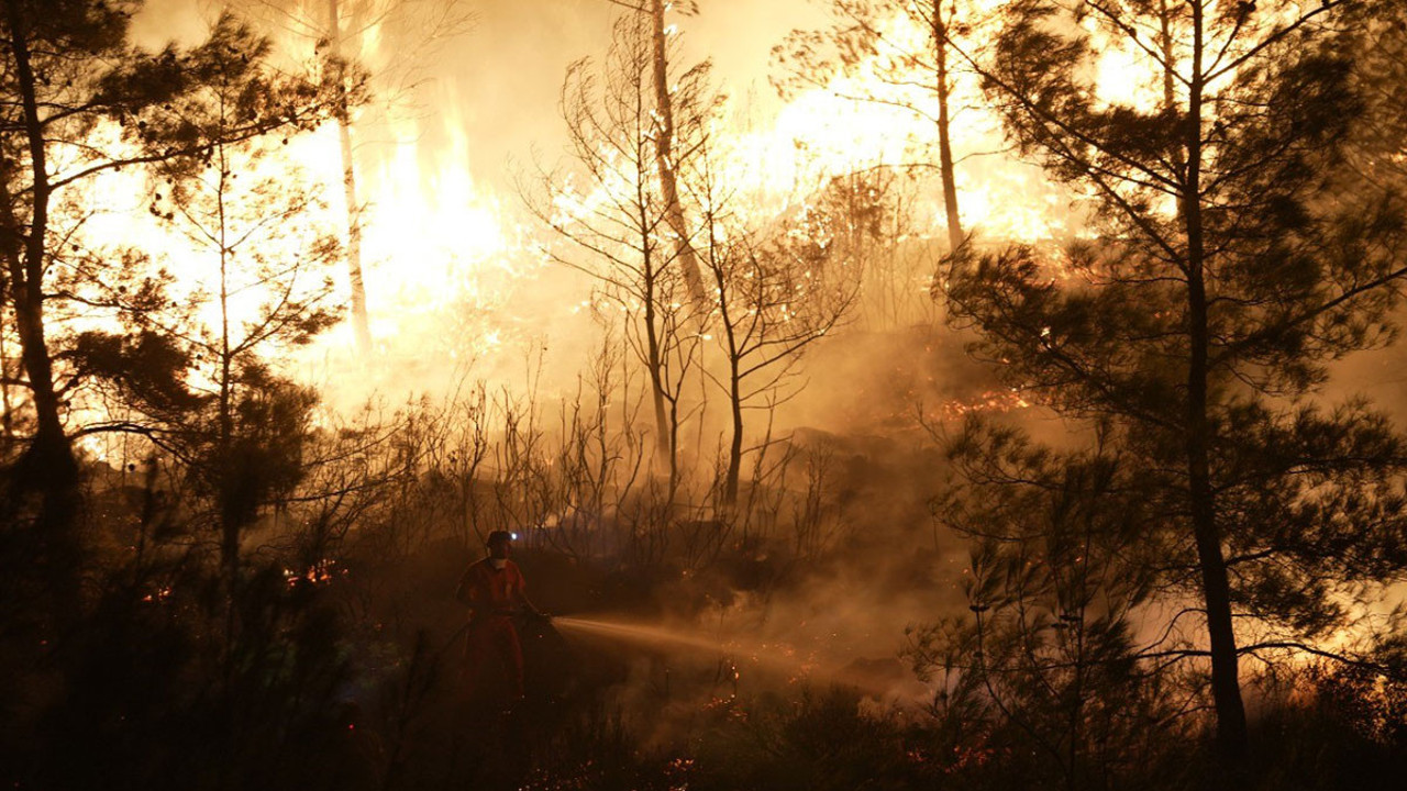 Muğla'da ekipler yangınlar mücadele ediyor