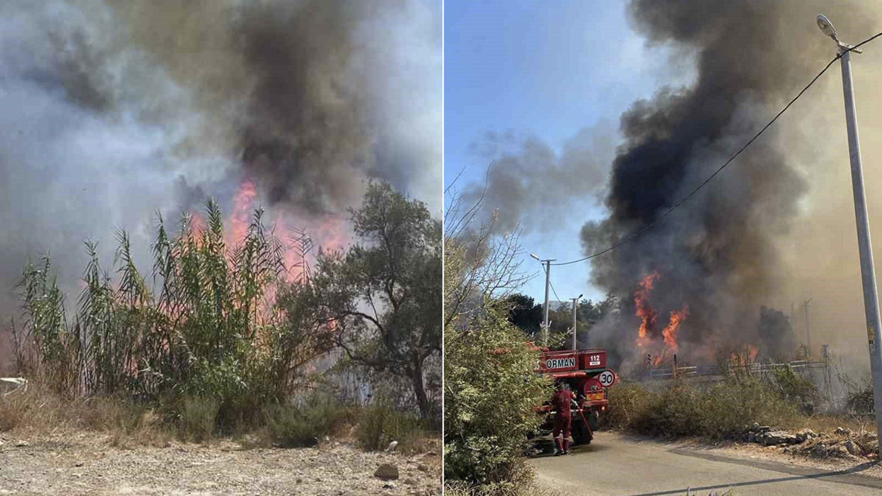 Sazlık alanda yangın paniği!