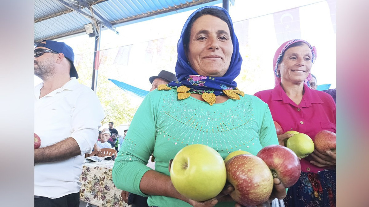 Elma Festivali için geri sayım başladı