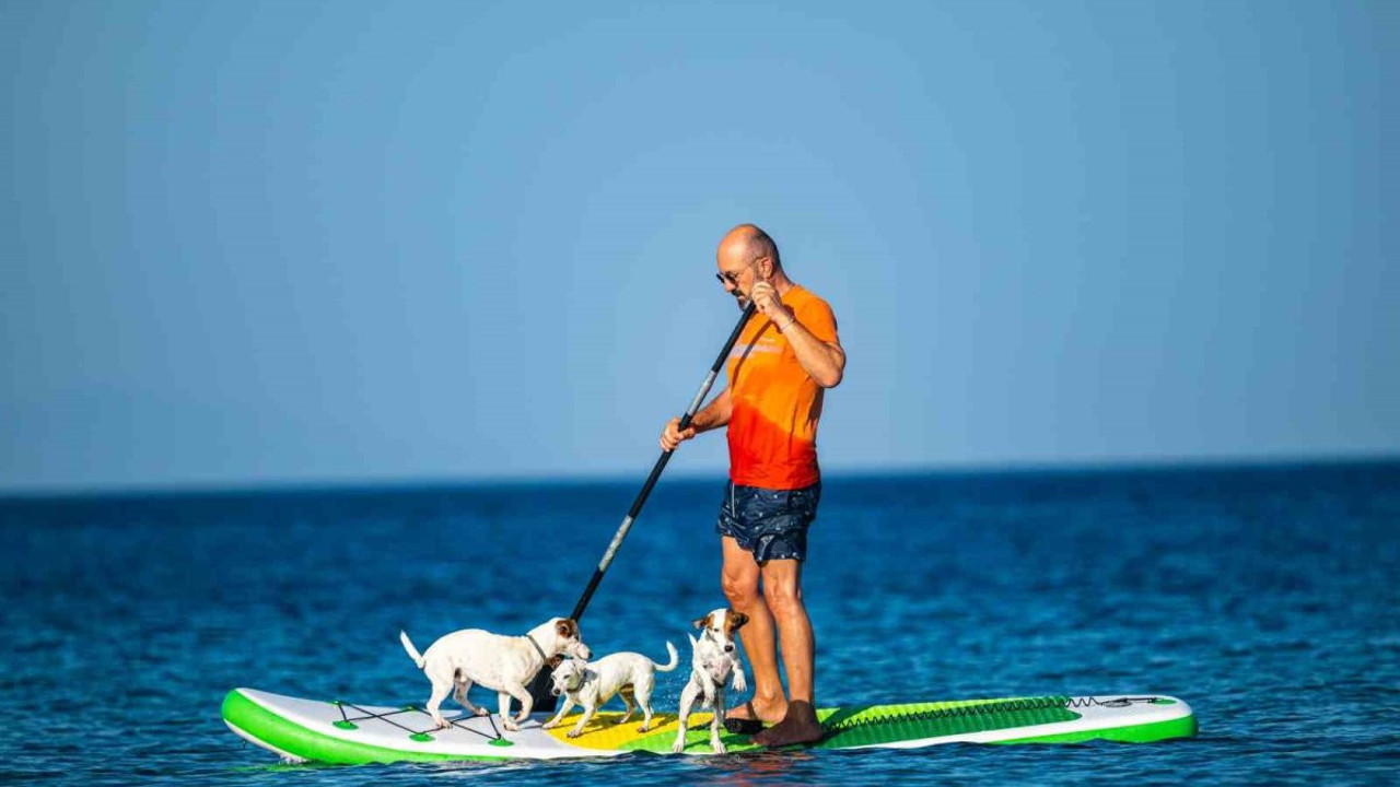 Köpekler Paddle Board’da: Gemiyatağı Koyu’nda deniz keyfi!