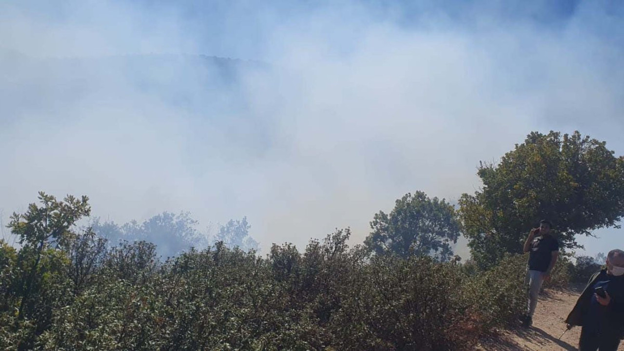 Konya'da orman yangını kısa sürede söndürüldü
