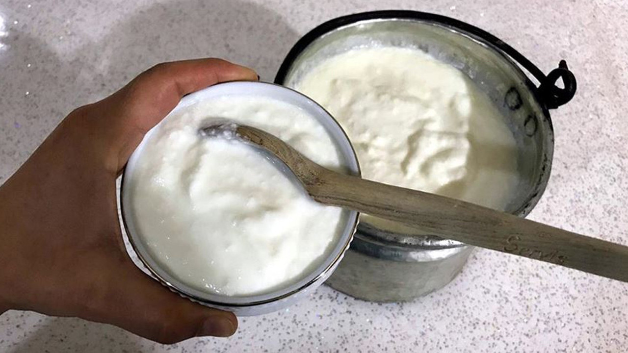 Yoğurtla gelen şifa! Sofraların vazgeçilmezi