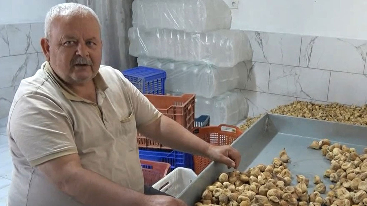 İncir üreticisi isyan etti: Sesimizi duyan yok!