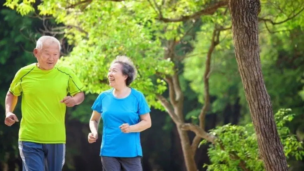 Japonların yüzyıllık şifresi! Uzmanlar anlattı