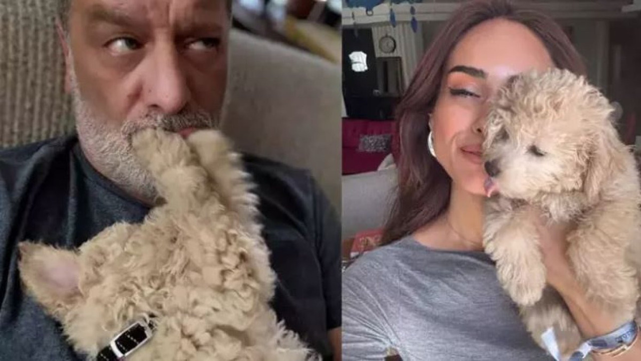 Magazin gündemine bomba düştü! Ozan Güven ile Damla Uğurtürk aşk mı yaşıyor? Köpek fotoğrafı dedikoduları ateşledi