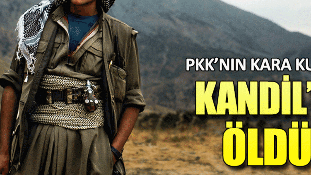 PKK'nın kara kutusu Kandil'de öldü