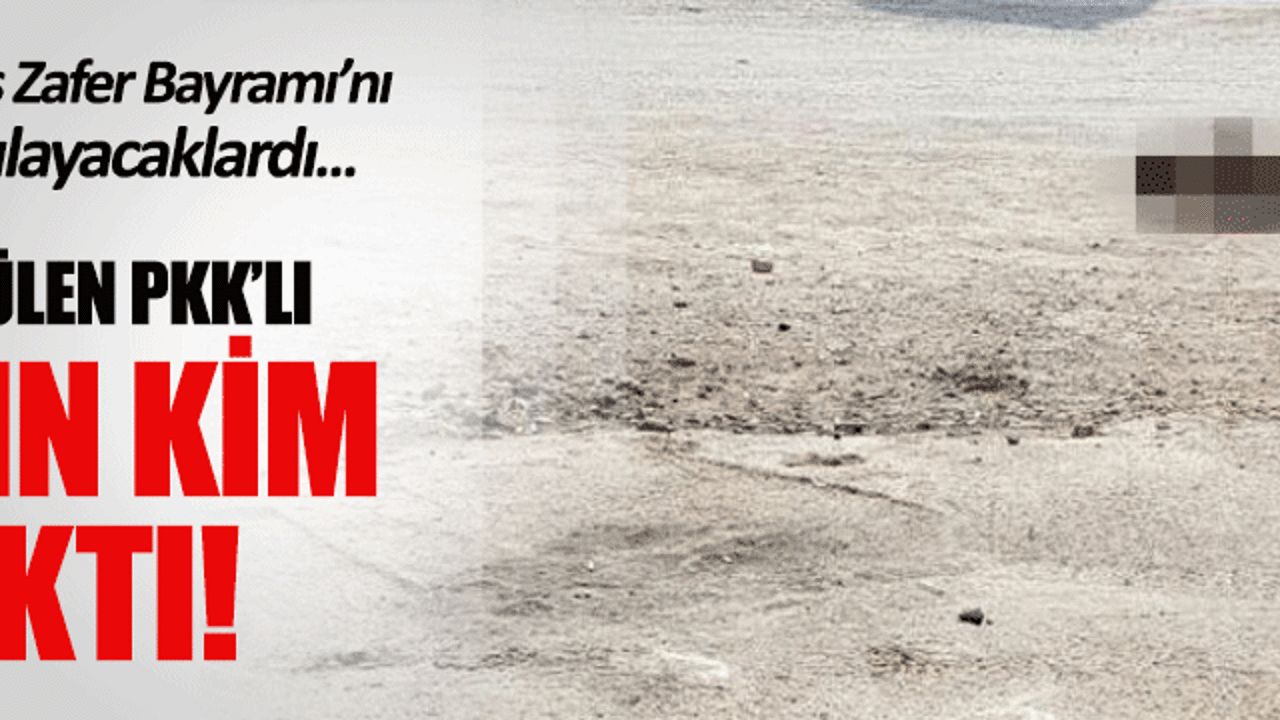 Eyleme gelen PKK'lı öldürüldü