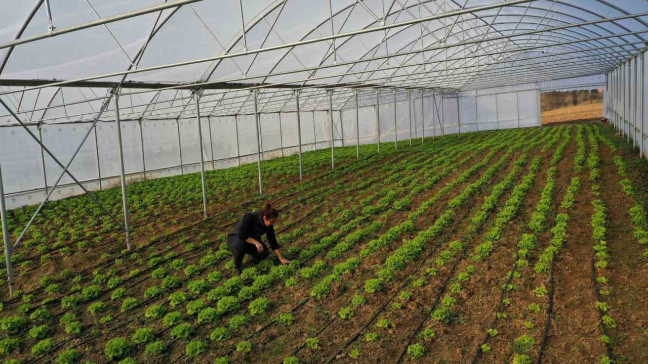 Çiftçilere yüzde 50 hibe desteği!