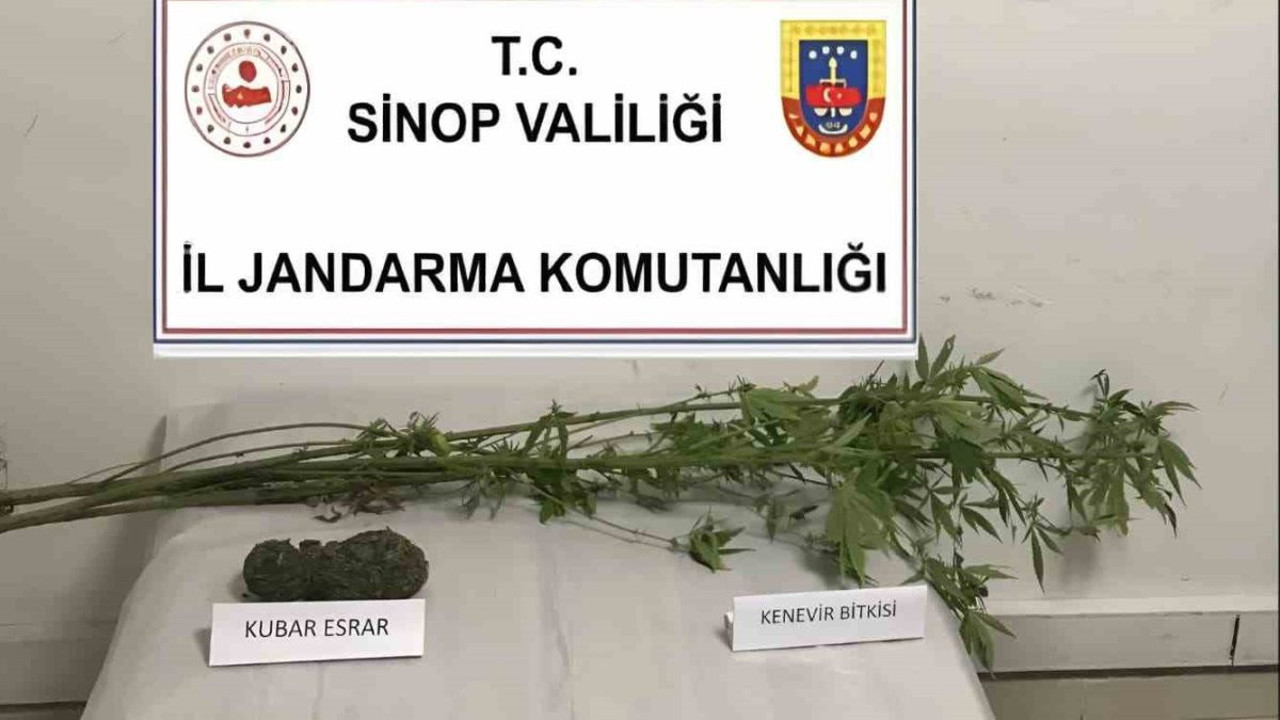 Sinop’ta jandarma kenevir ve kubar esrar ele geçirdi