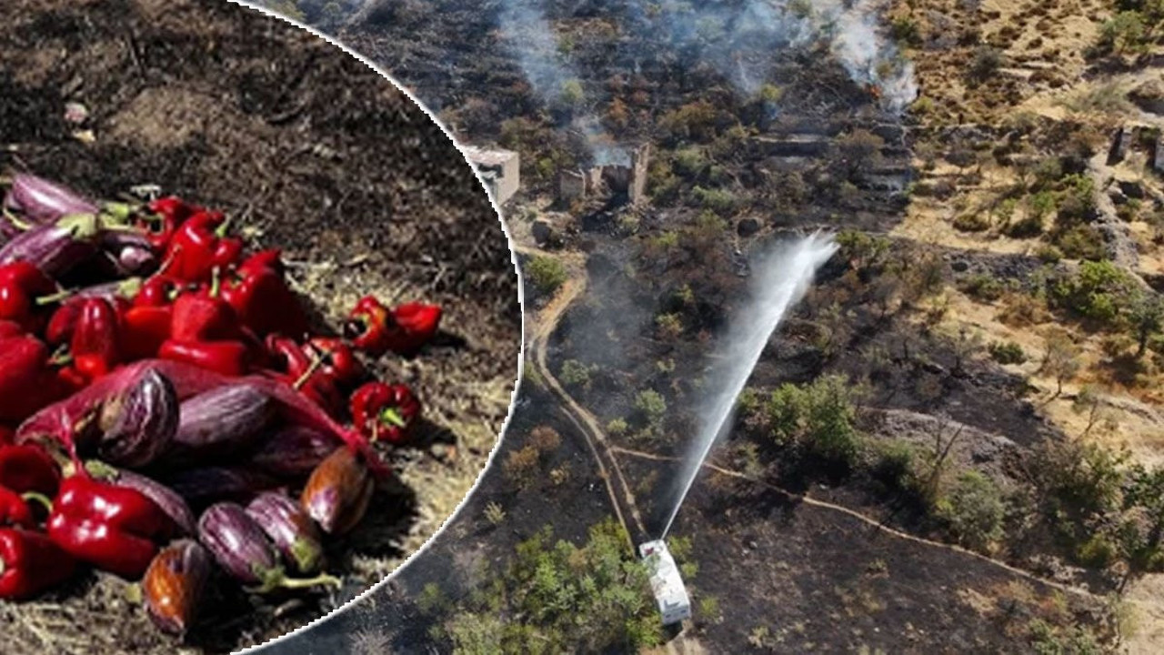 Patlıcan közlerken koca ormanı yaktılar!