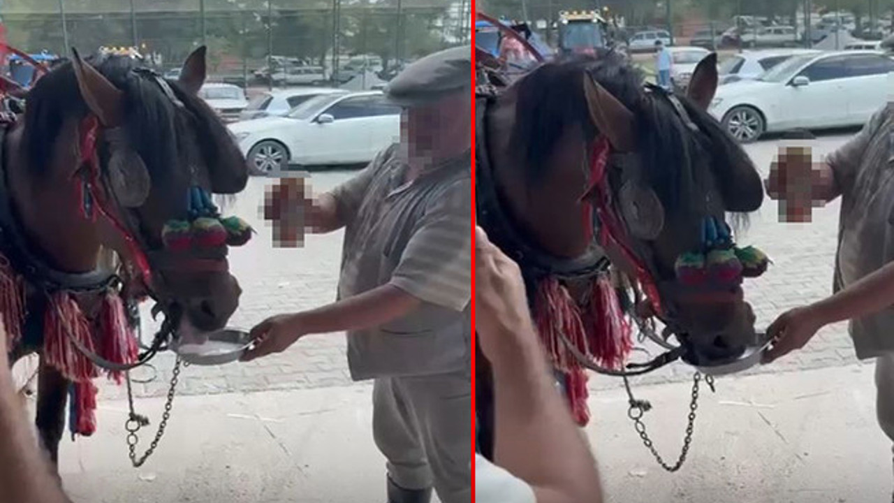 Sünnet çocuğunu taşıyan at alkolik çıktı! Görenler gözlerine inanamadı