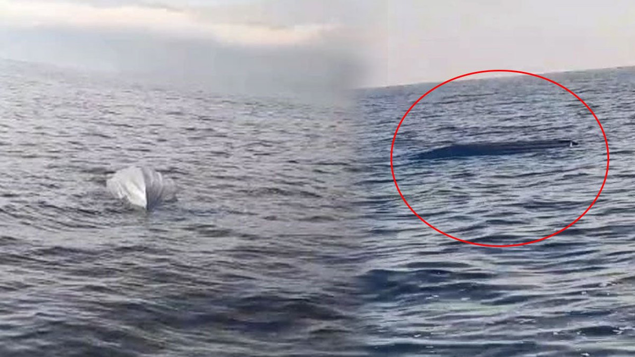 Trabzon’dan sonra Artvin! Hopa-Arhavi açıklarında insansız deniz aracı