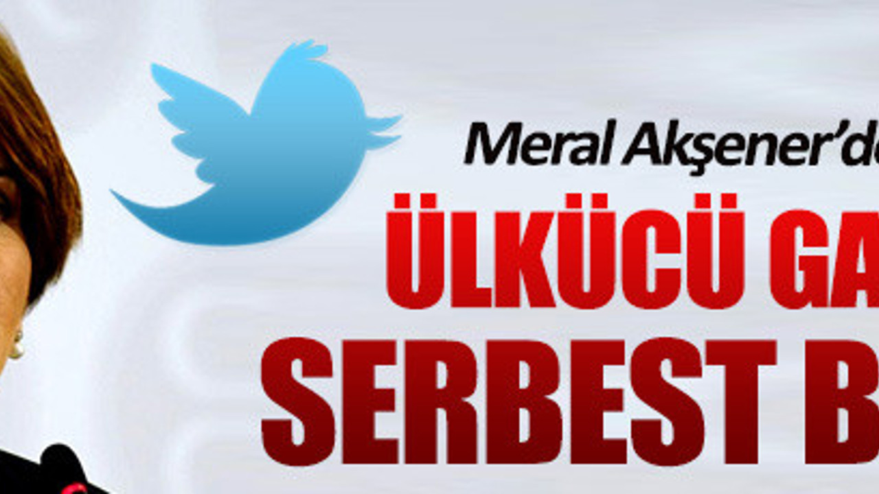 Meral Akşener'den gözaltındaki ülkücülere destek