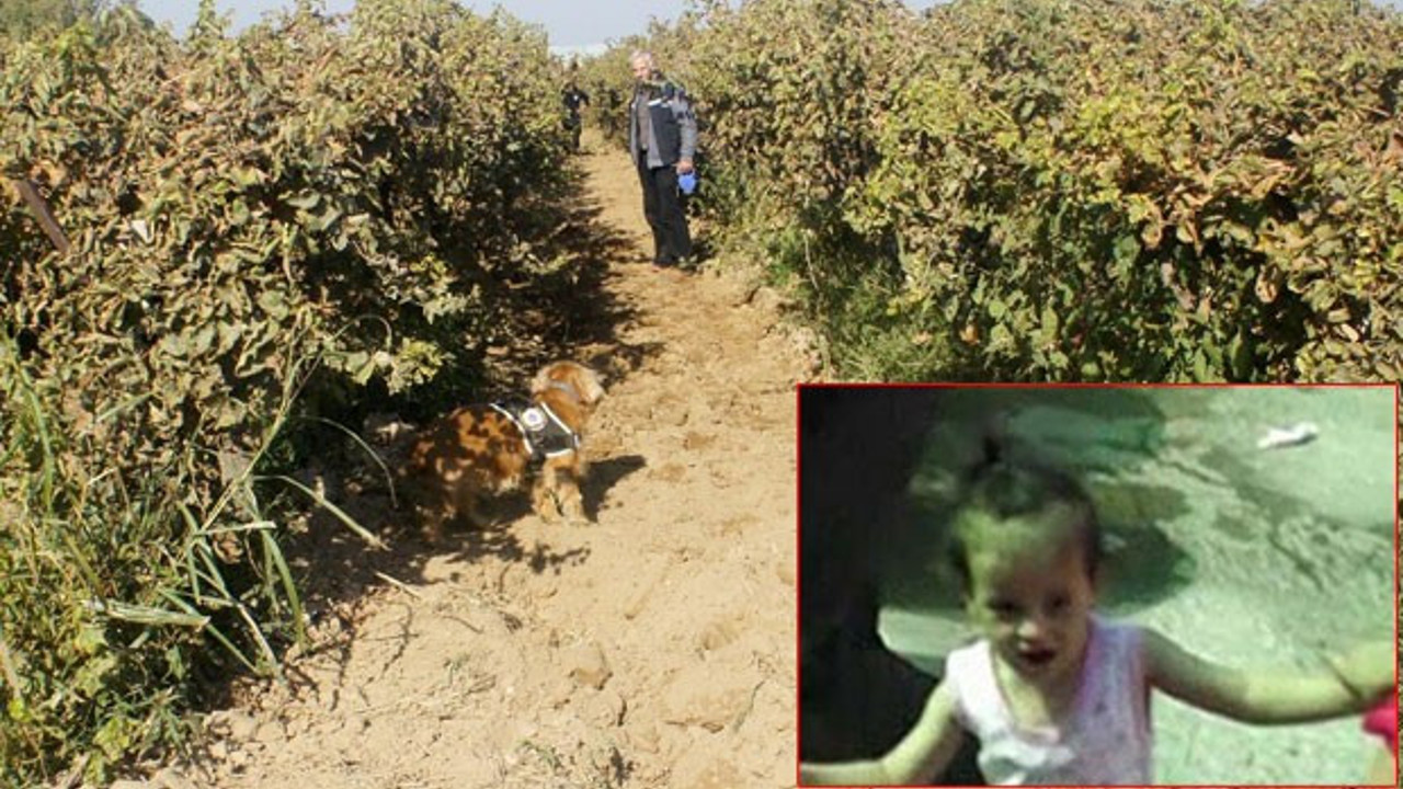 Irmak Kupal cinayetinde yeni gelişme