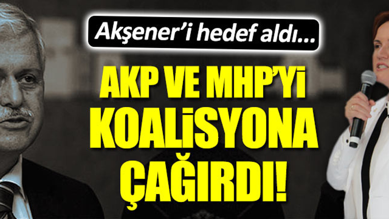 Gülen'in 1 numaralı adamından AKP ve Bahçeli'ye çağrı