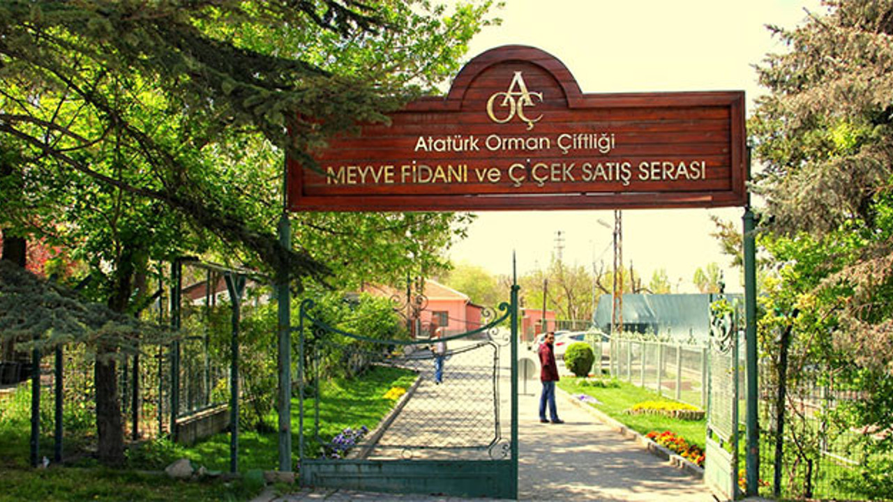 Atatürk Orman Çitliği 90 yıl içinde yüzde 40 küçüldü