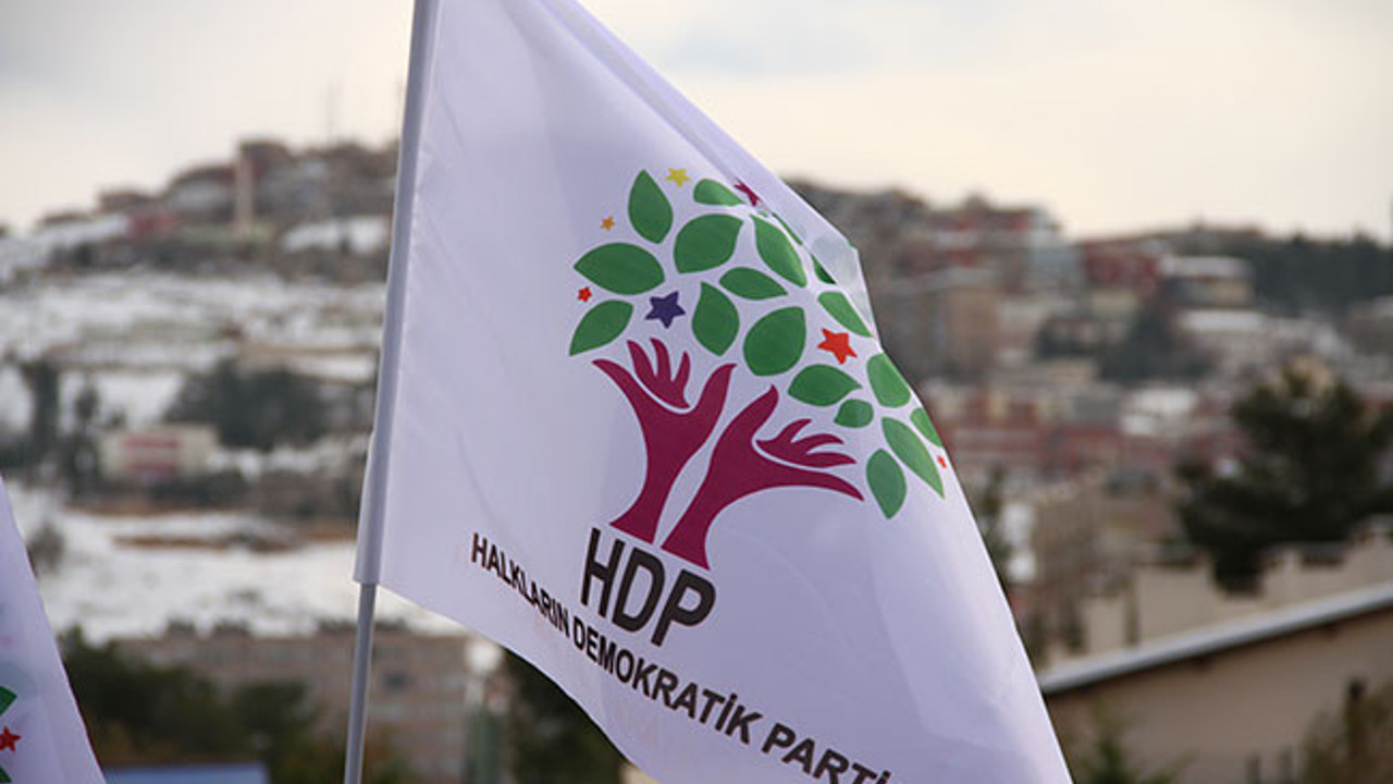 HDP'nin yeni Eş Genel Başkanı belli oldu