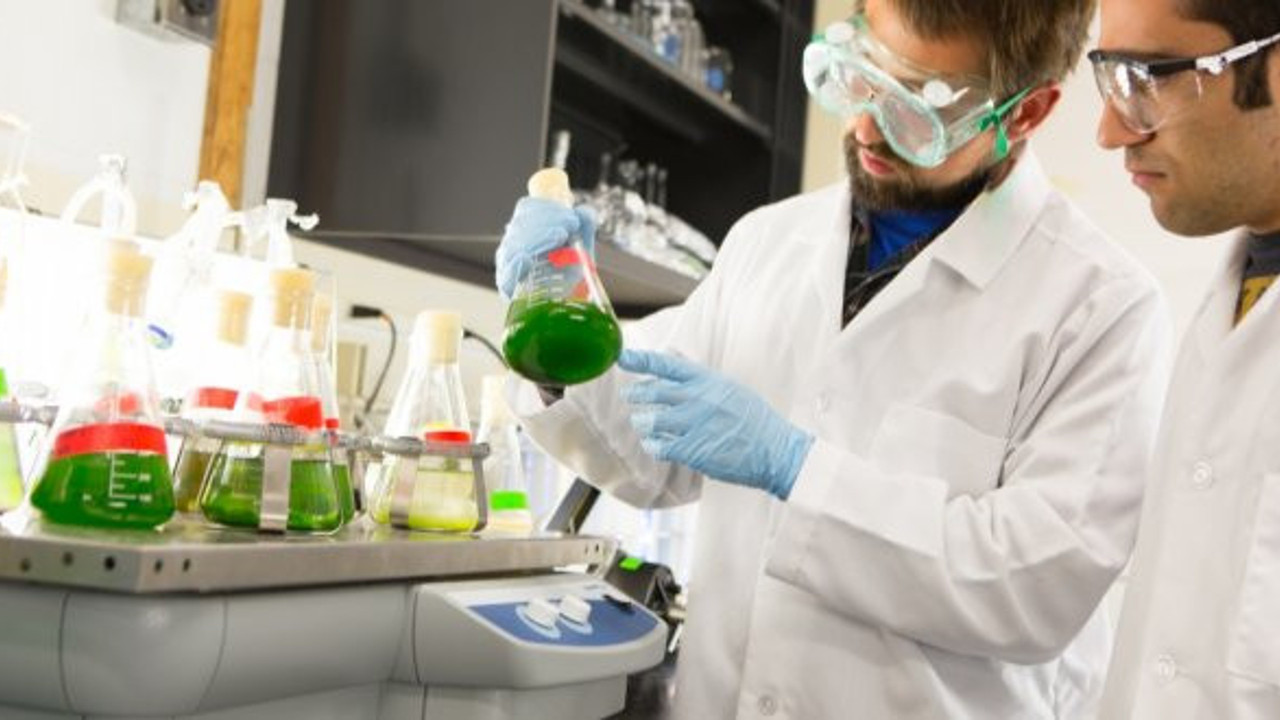 Araştırma-Geliştirme Fonu kuruluyor