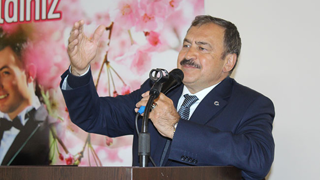 AKP'li Bakan Eroğlu'ndan 'hayır'cılara ilginç itham