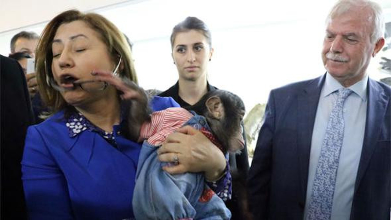 Fatma Şahin'in zor anları