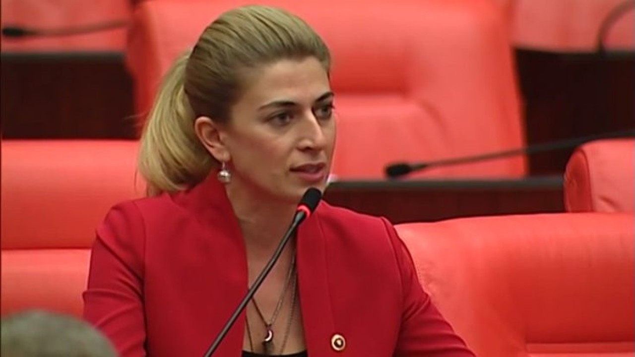 CHP'li Didem Engin'den Atatürk tepkisi