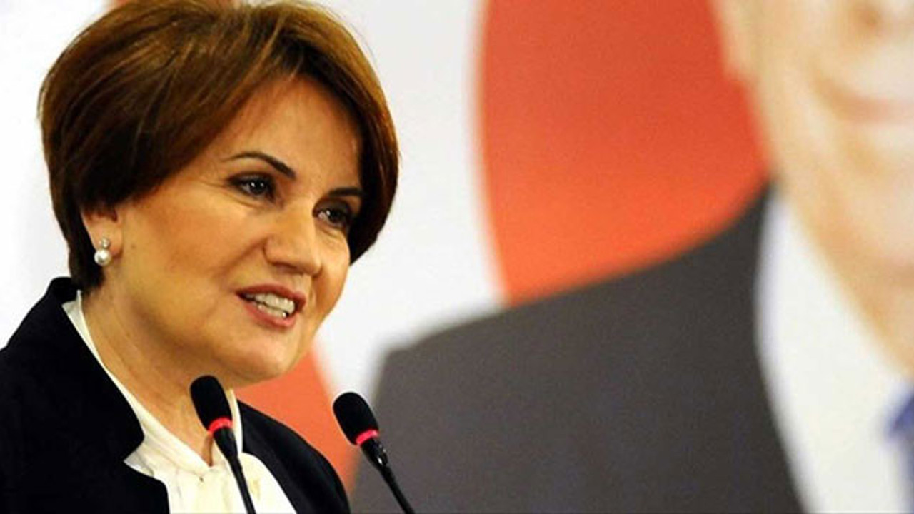 Akşener'in kuracağı partiye iki yeni isim daha katılacak!