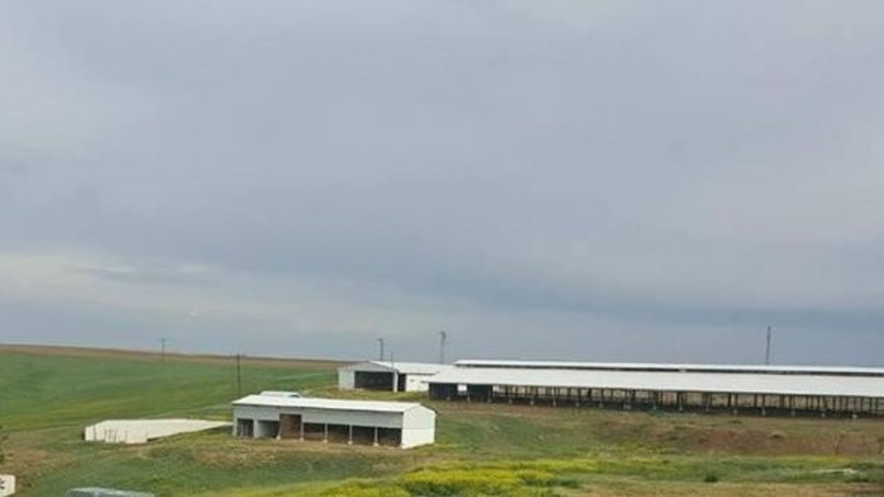 Bir Çiftlik Bank vakası daha (24 Mayıs 2018)