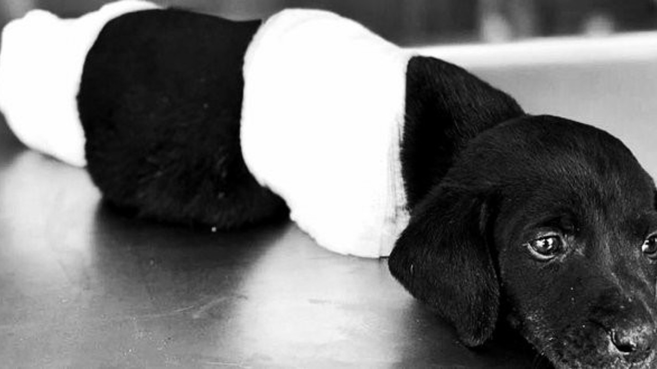 Kepçe operatörü tahliye edildi