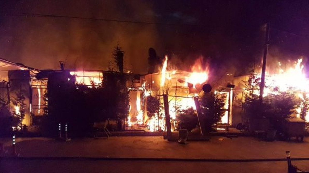 Sapanca Gölü’nde yangın