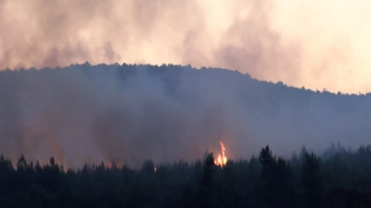 Aydos Ormanları’nda yangın