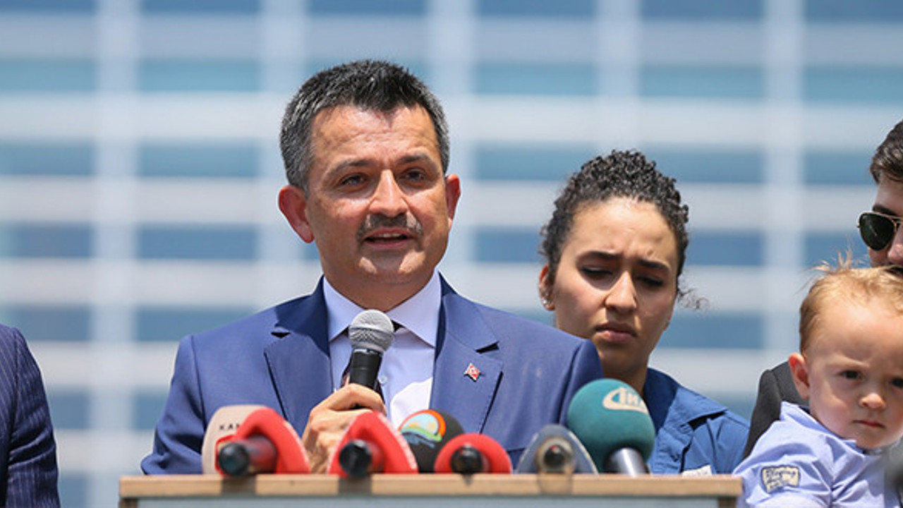 Pakdemirli: "Un ithal edeceğiz"