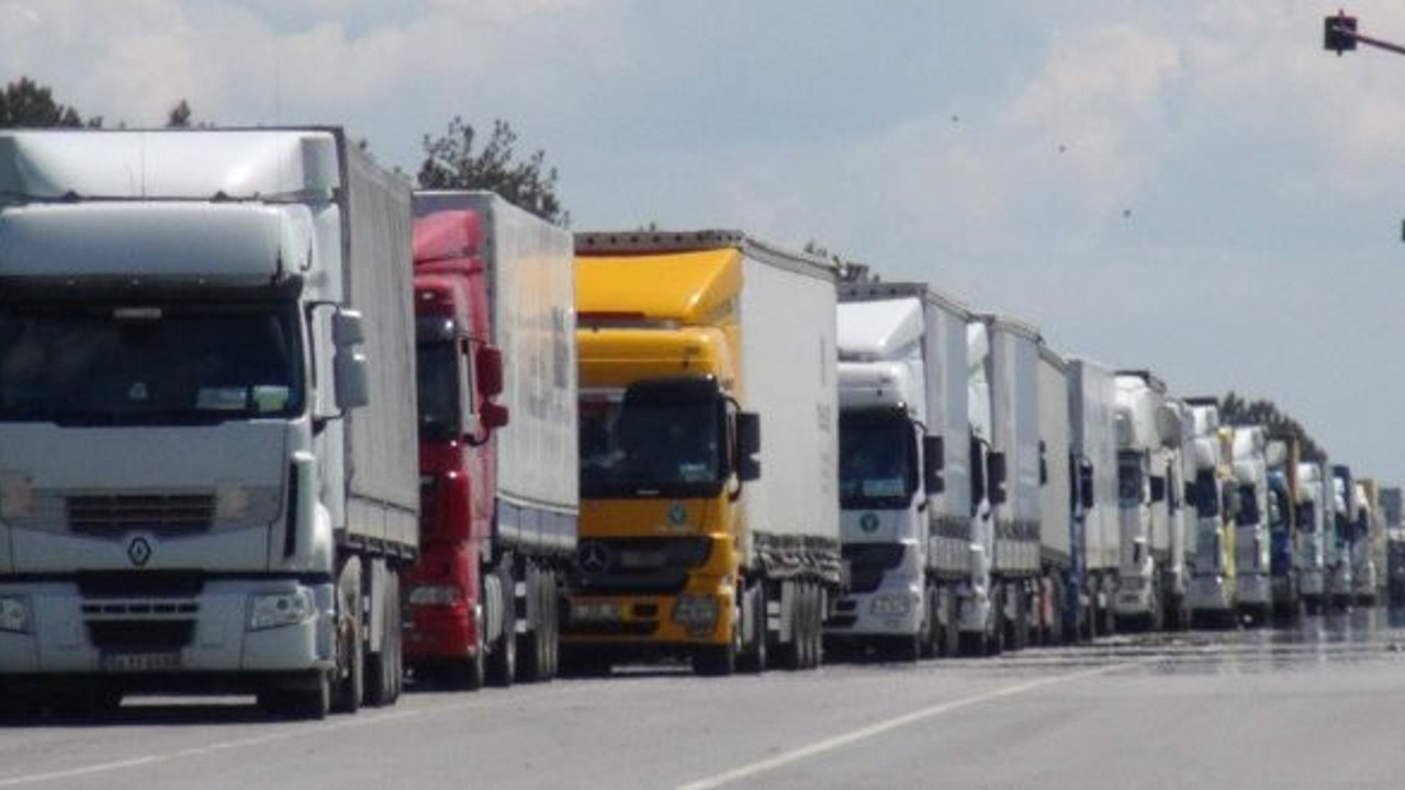 Kapıkule’de hayvanlar günlerce sıcakta bekliyor