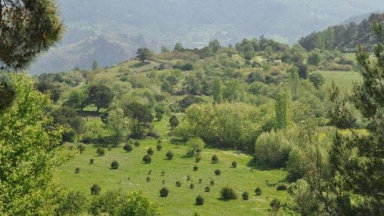 Bergama’da altın madenine onay çıktı
