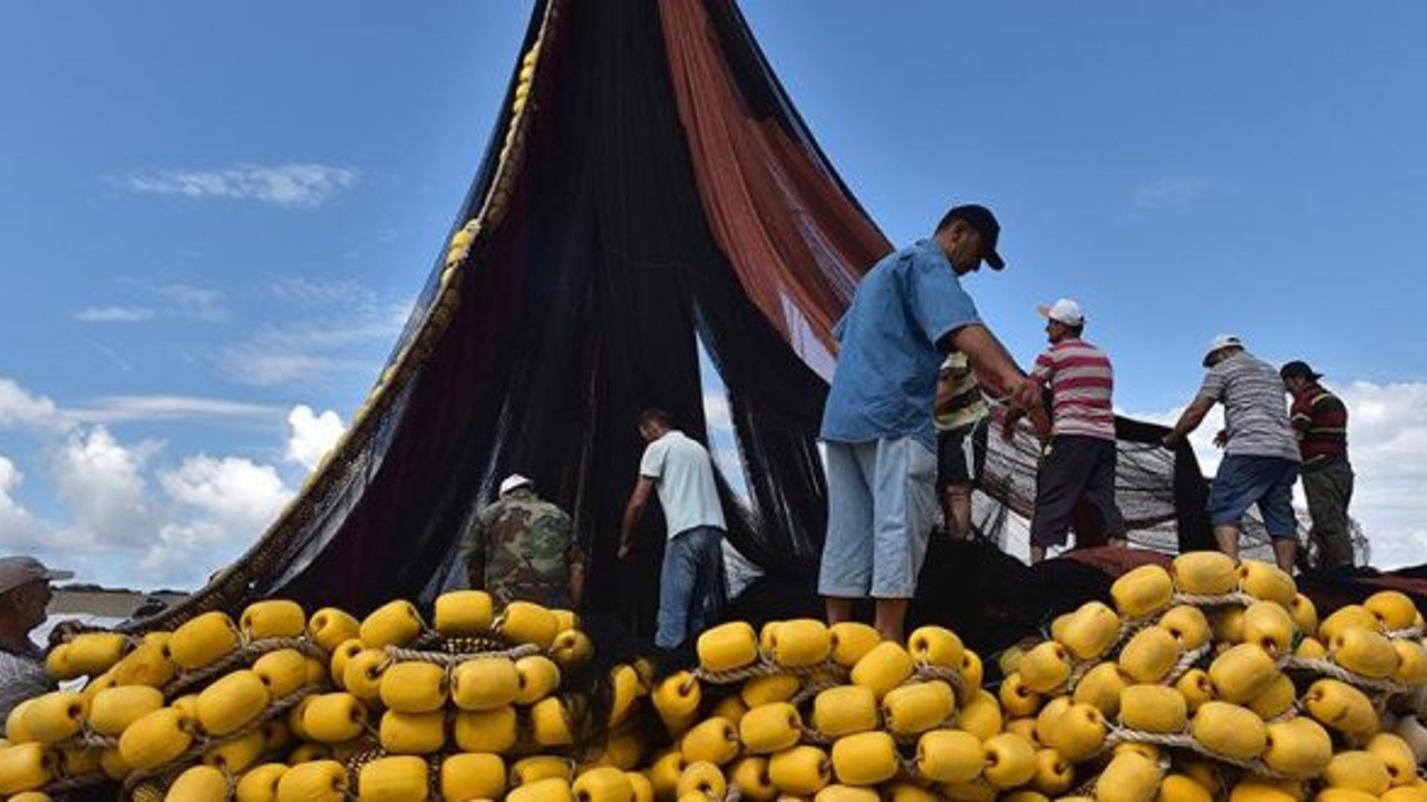 Karadenizli balıkçılarda yeni av sezonu heyecanı