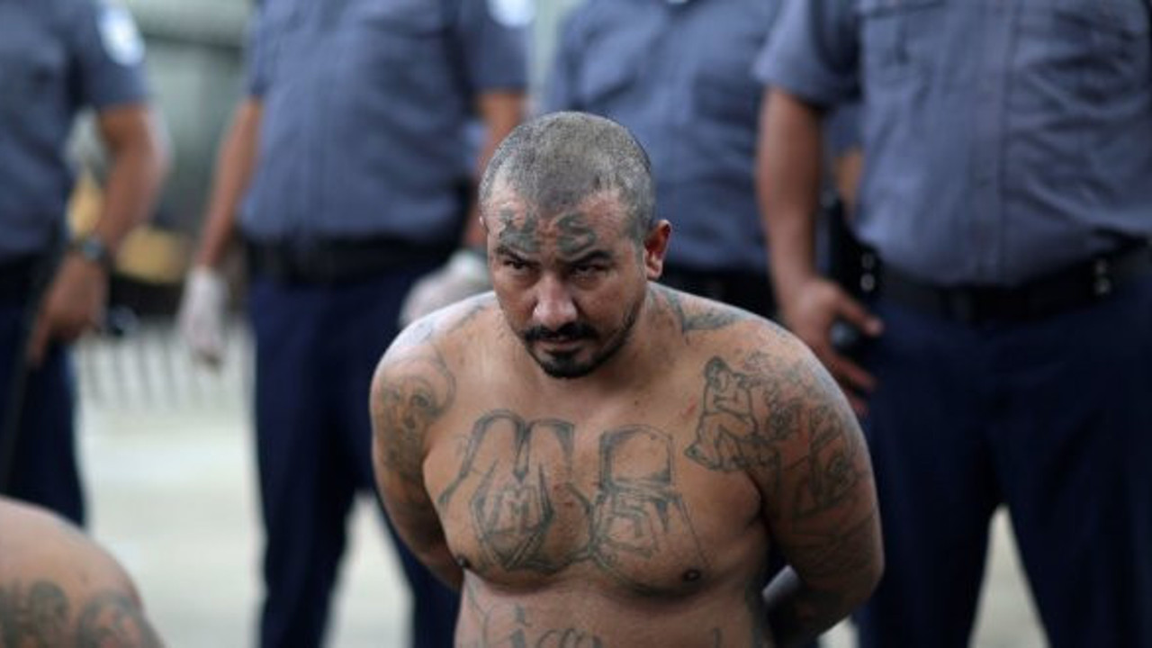 Uluslararası suç örgütüne büyük darbe