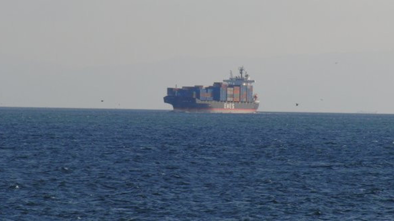 Gizemli gemide şarbonlu hayvanlar mı var?