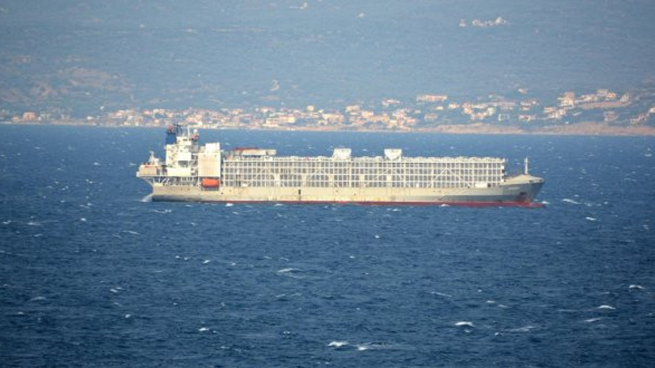 Şarbonlu hayvanları getiren gemi ile ilgili önemli iddia