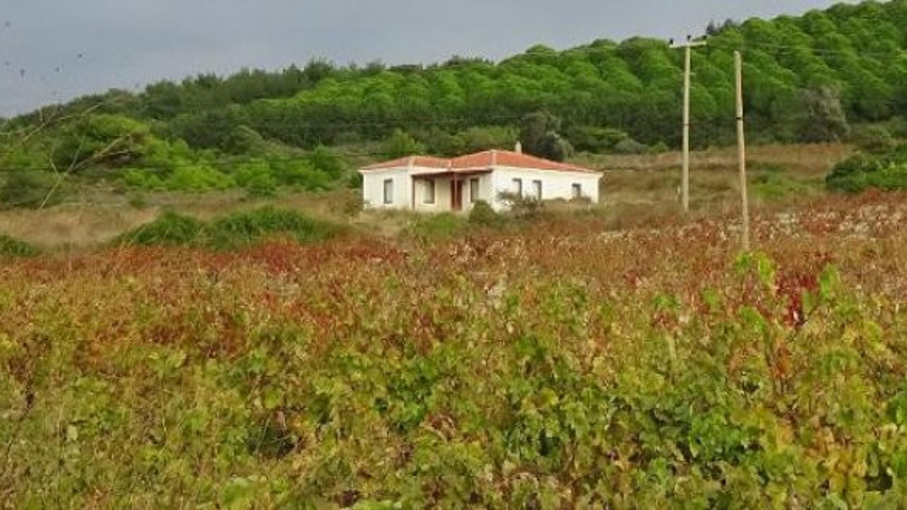 Bozcaada'da tarım arazilerine turizm ruhsatı