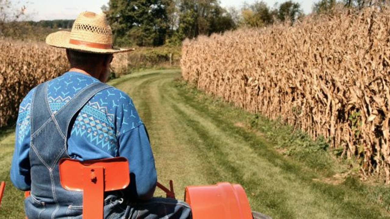 Tarım ÜFE Ekim’de yıllık yüzde 16.02 arttı