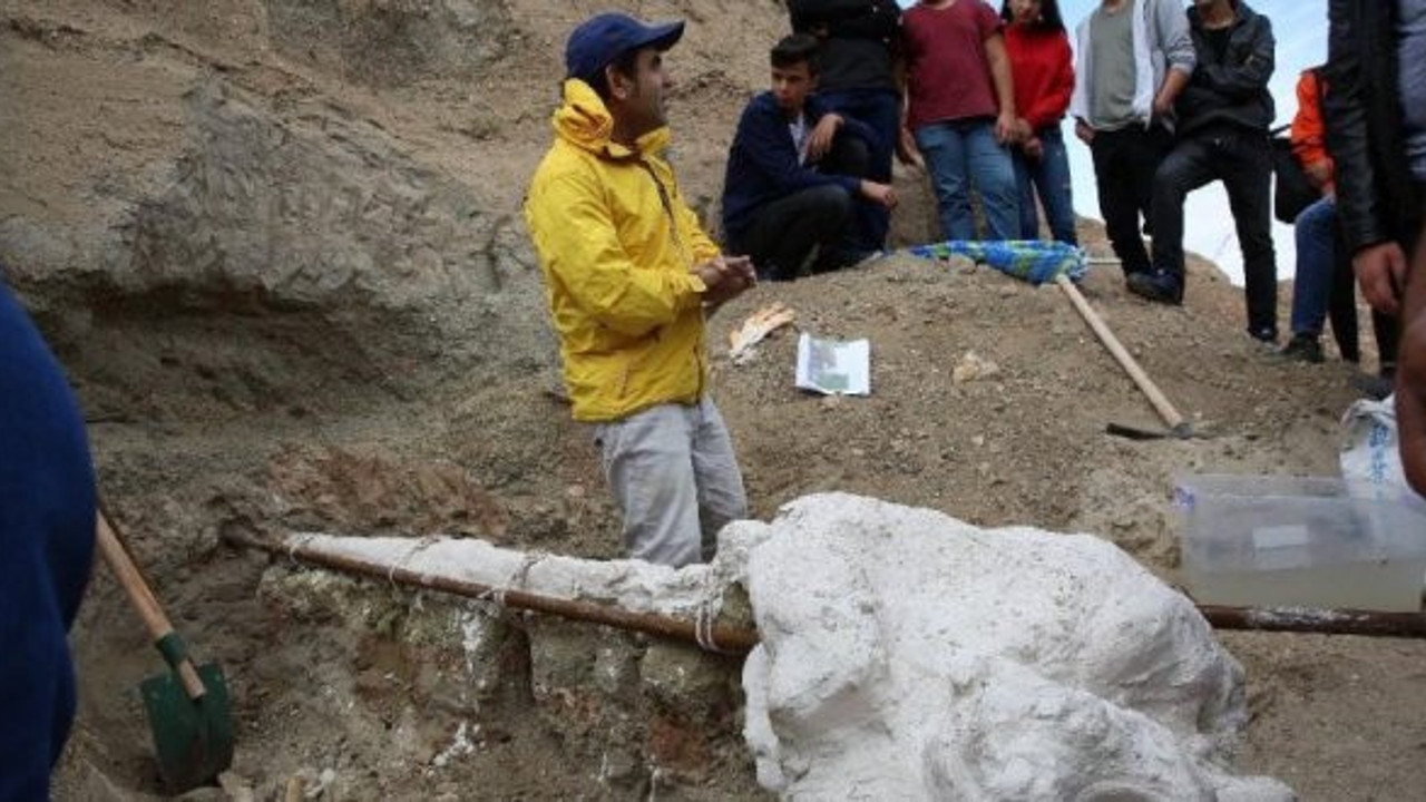 7,4 milyon yıllık hayvan fosili bulundu