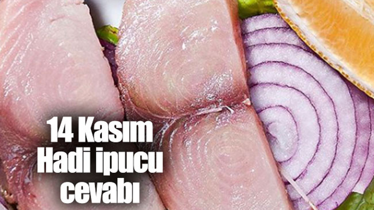 Palamut ve torik gibi balıklardan dilim dilim kesilerek yapılan salamura? Hadi İpucu
