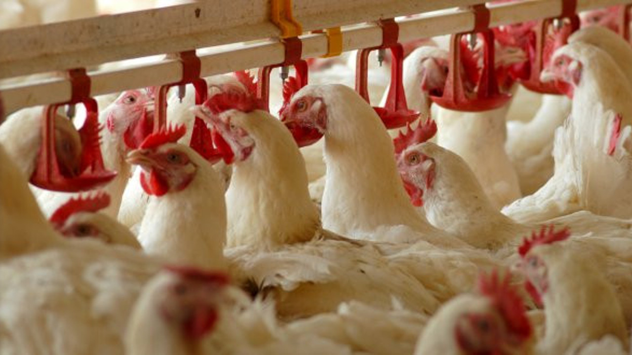 Beyaz et üreticileri de kepenk kapatıyor!