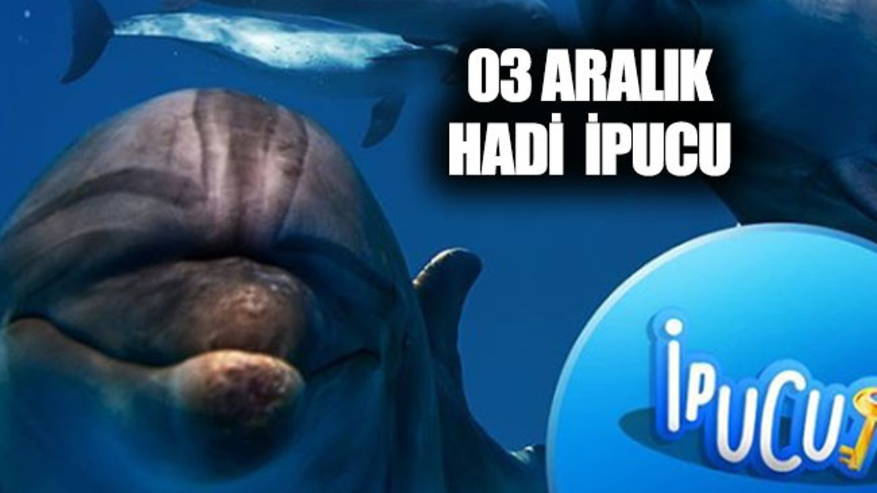 3 Aralık Hadi İpucu: Dünyanın en yaygın yunus balığı türü adı nedir