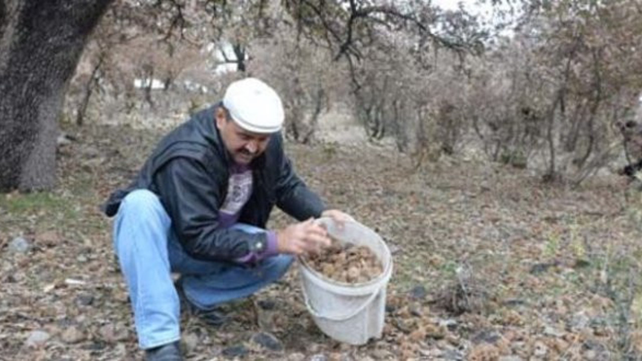 Muhtar'ın girişimiyle 40 bin liralık gelir sağlandı
